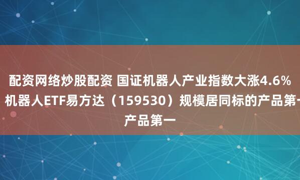 配资网络炒股配资 国证机器人产业指数大涨4.6%，机器人ETF易方达（159530）规模居同标的产品第一