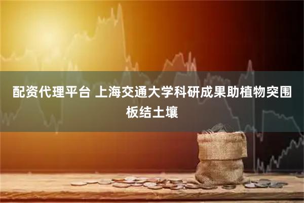 配资代理平台 上海交通大学科研成果助植物突围板结土壤
